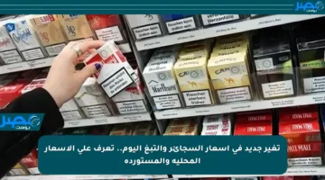 تغير جديد في أسعار السجائر والتبغ اليوم.. تعرف على الأسعار المحلية والمستوردة